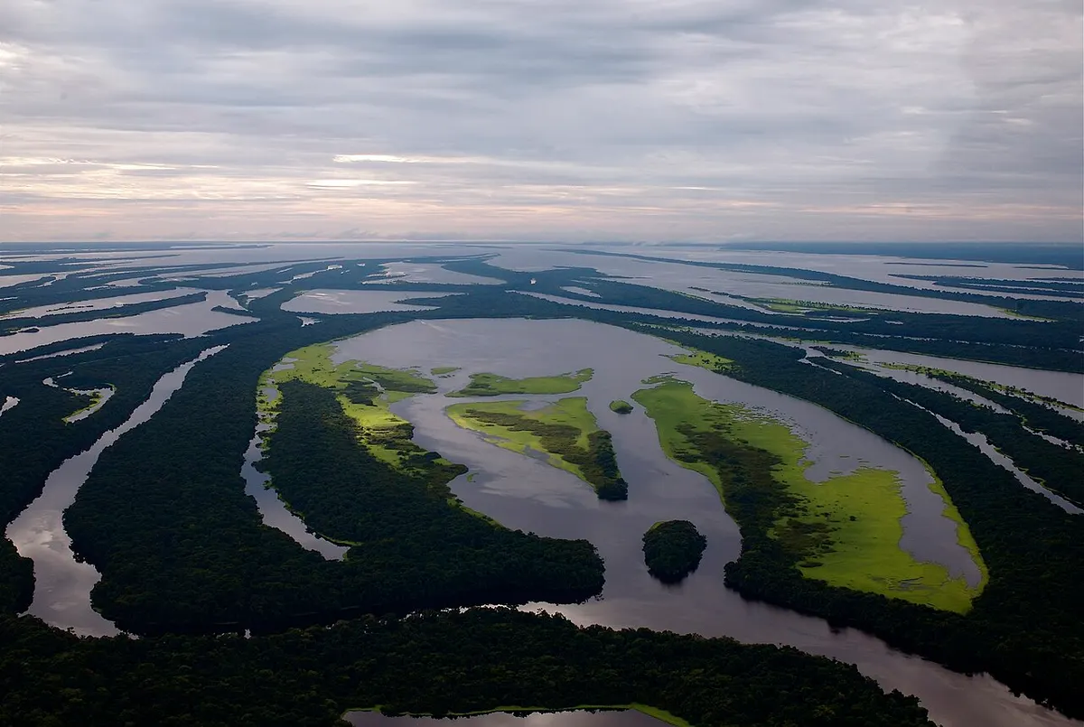 Amazonas
