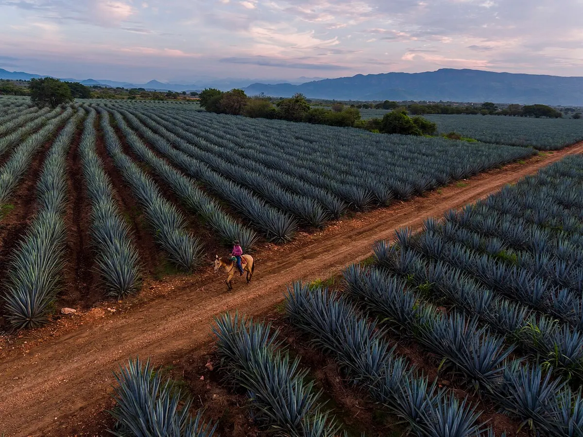 western Mexico