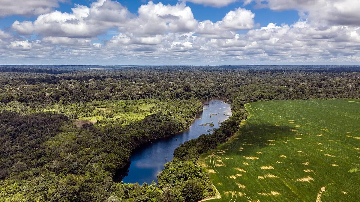 Pará