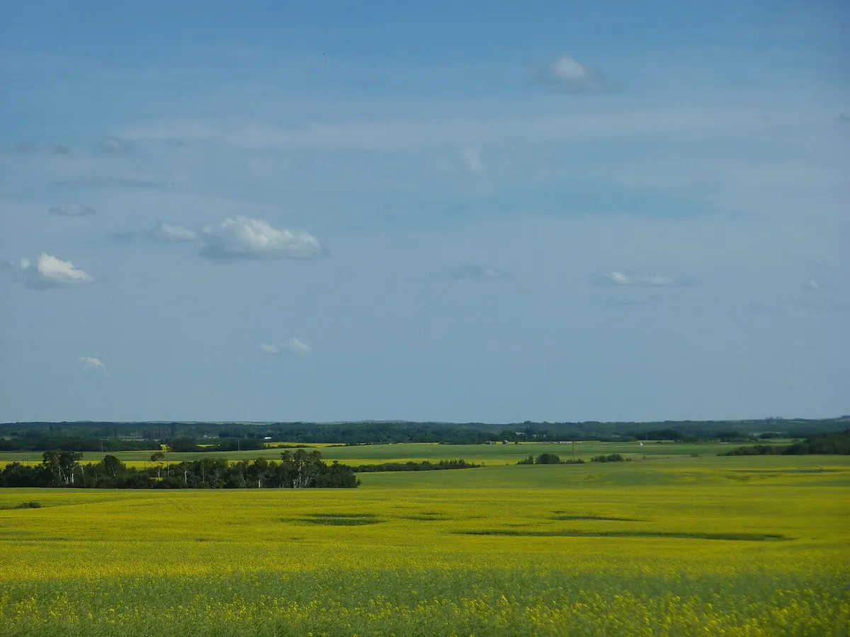 Municipal District of Wainwright